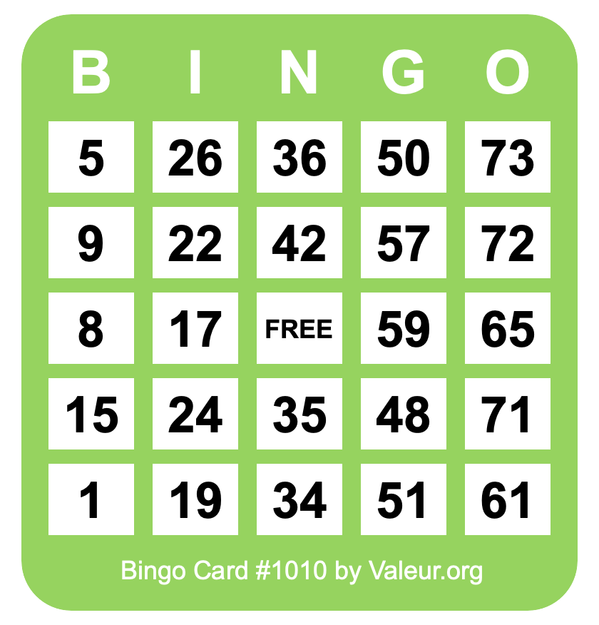 Bingo Card #1010