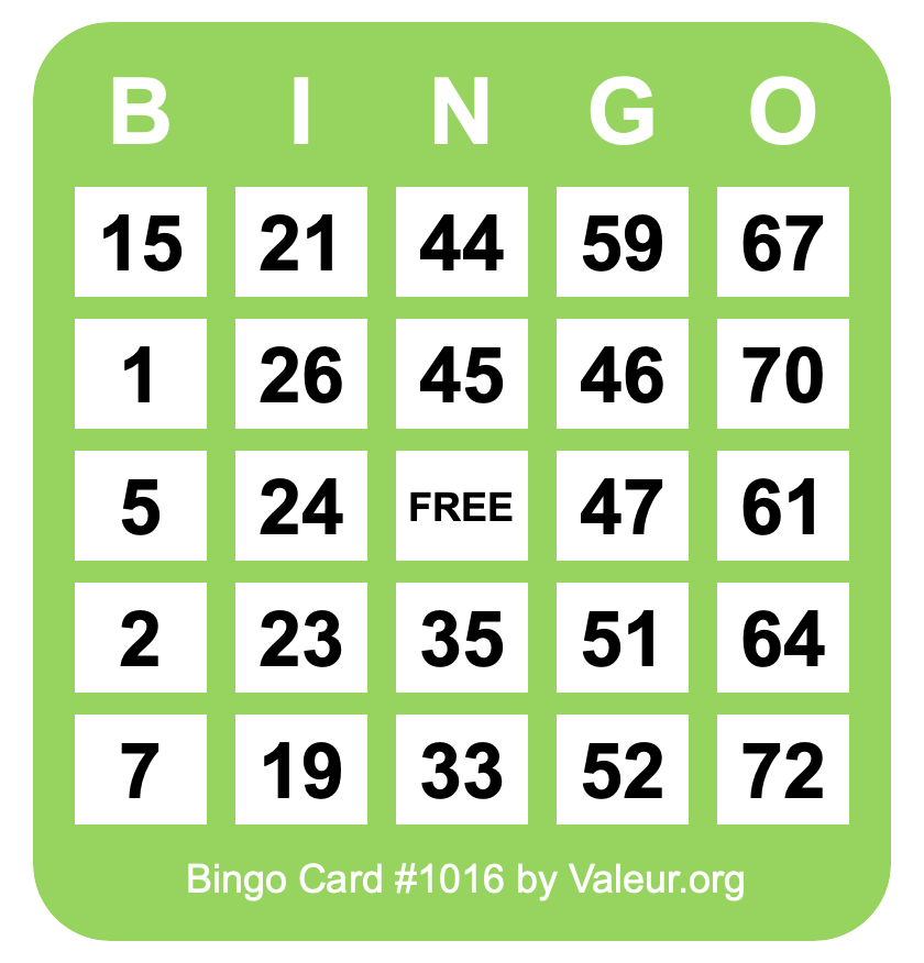 Bingo Card #1016