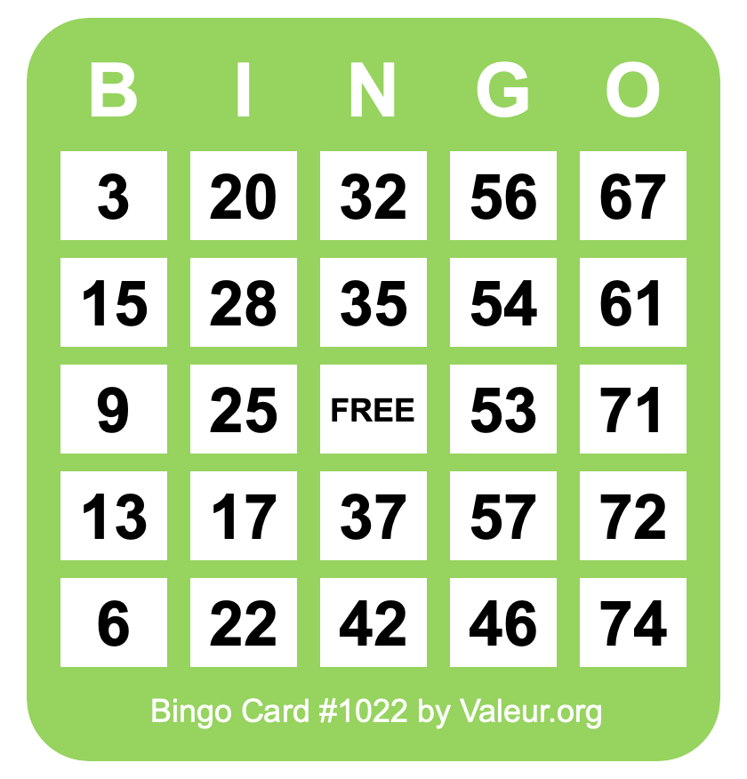 Bingo Card #1022