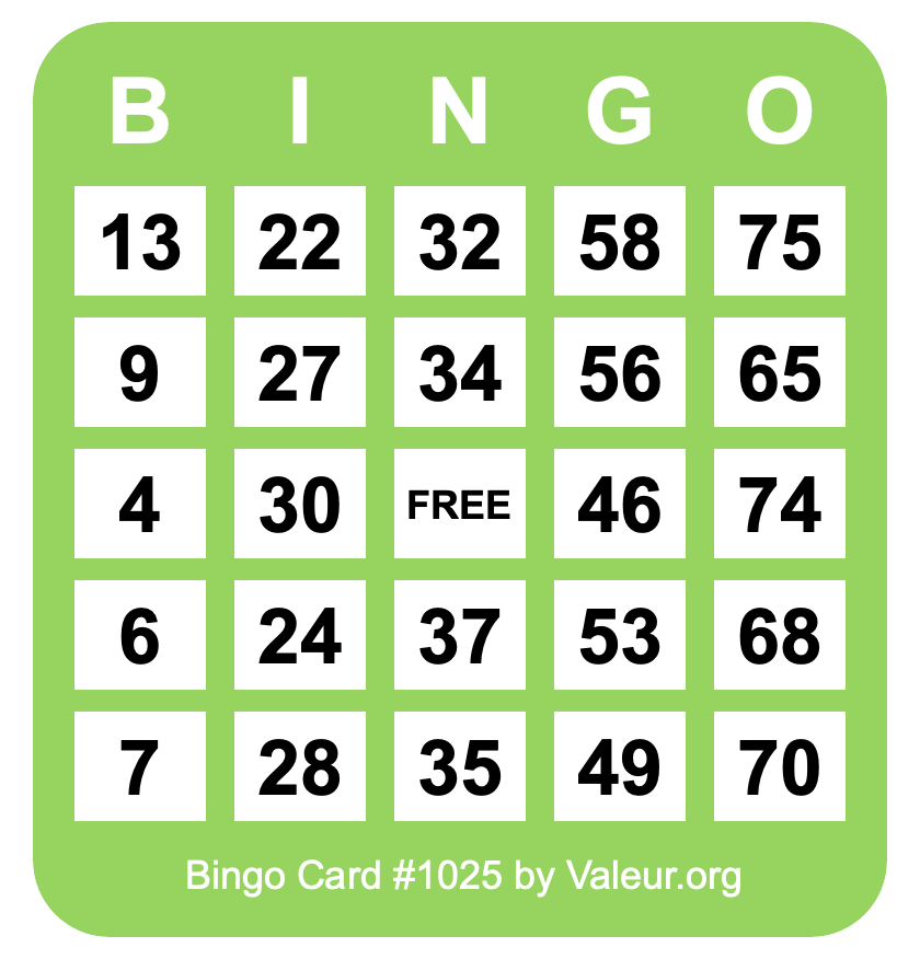 Bingo Card #1025