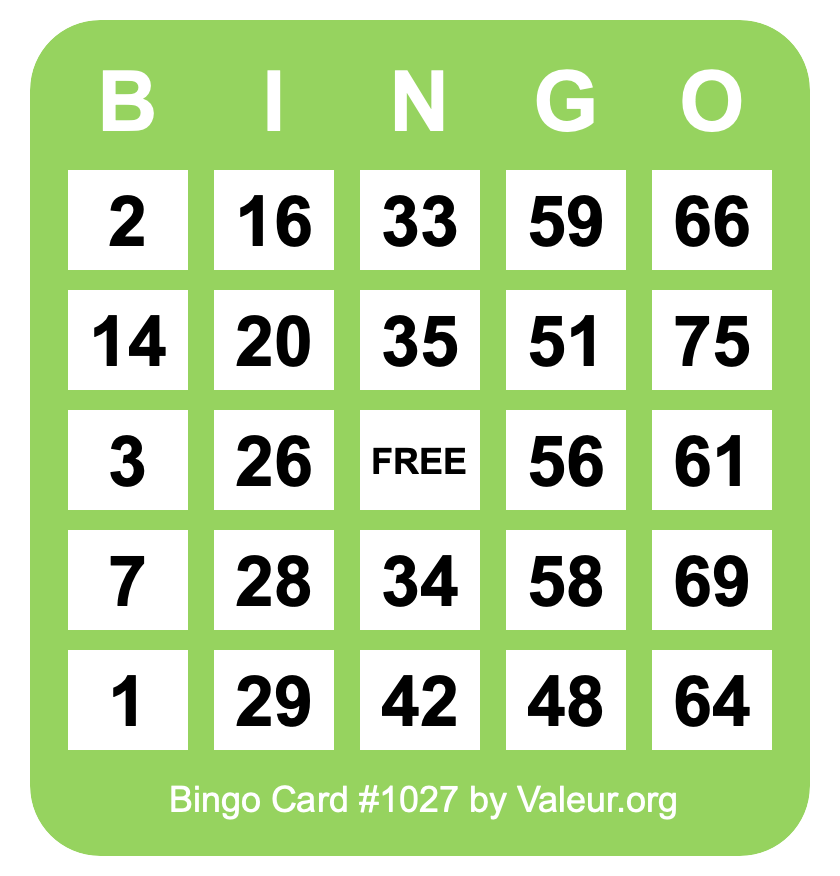 Bingo Card #1027