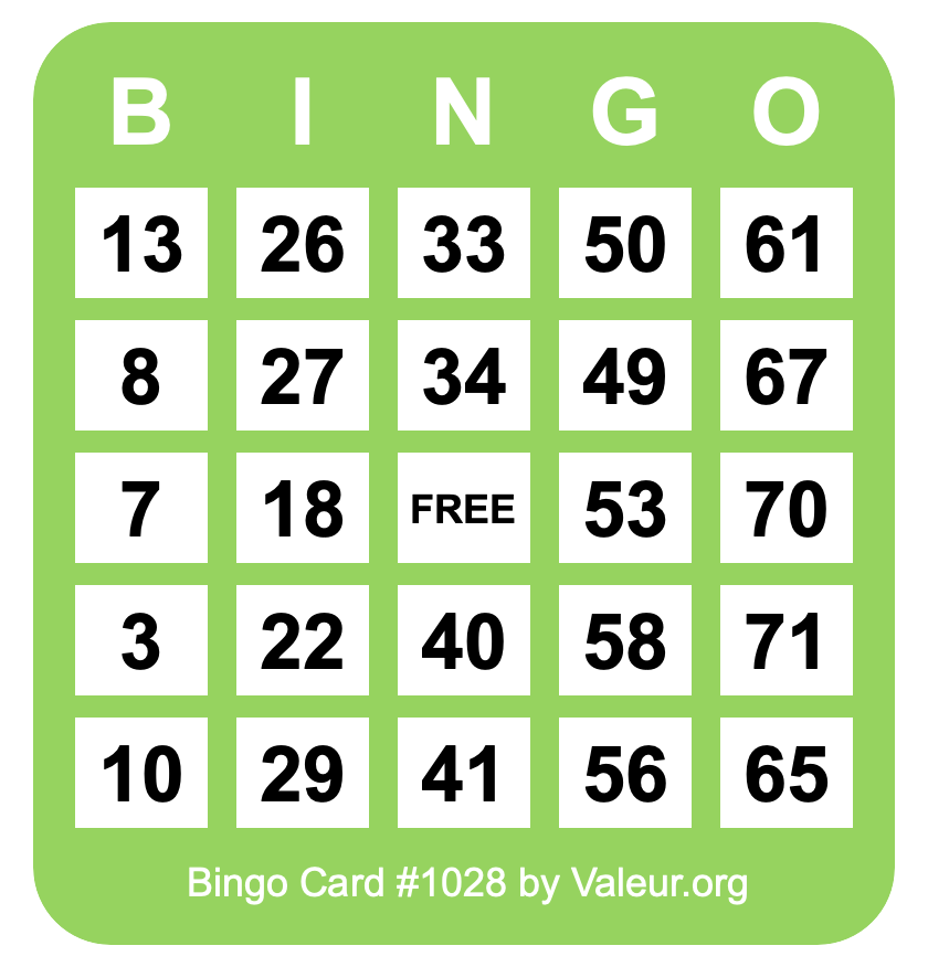 Bingo Card #1028