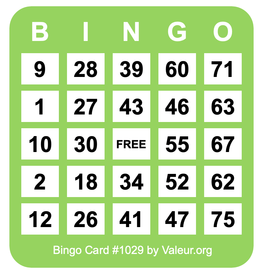 Bingo Card #1029