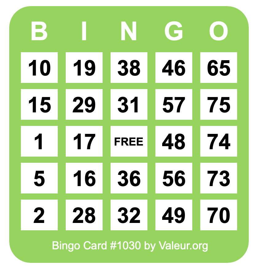 Bingo Card #1030