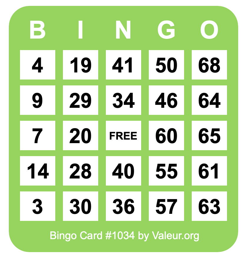 Bingo Card #1034