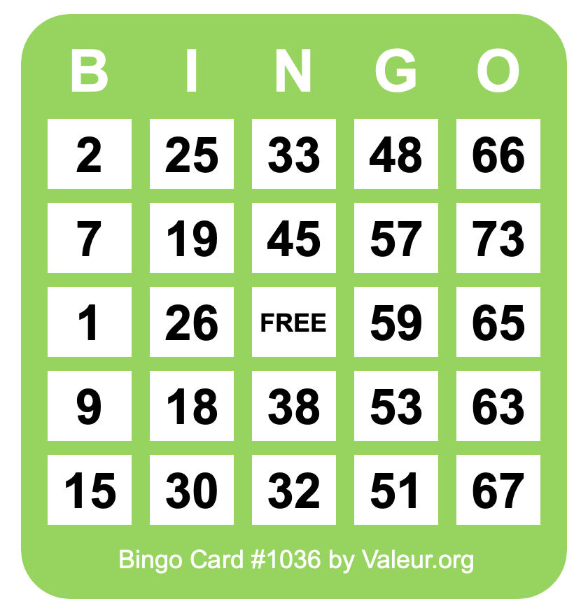 Bingo Card #1036