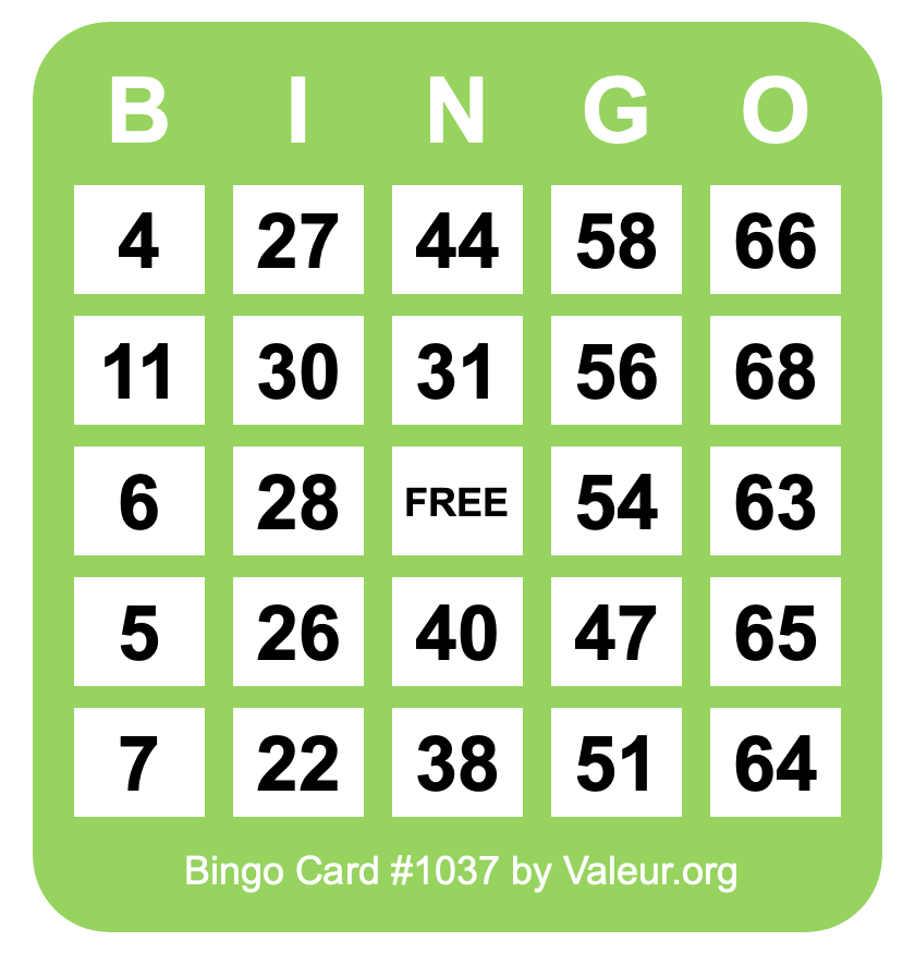 Bingo Card #1037