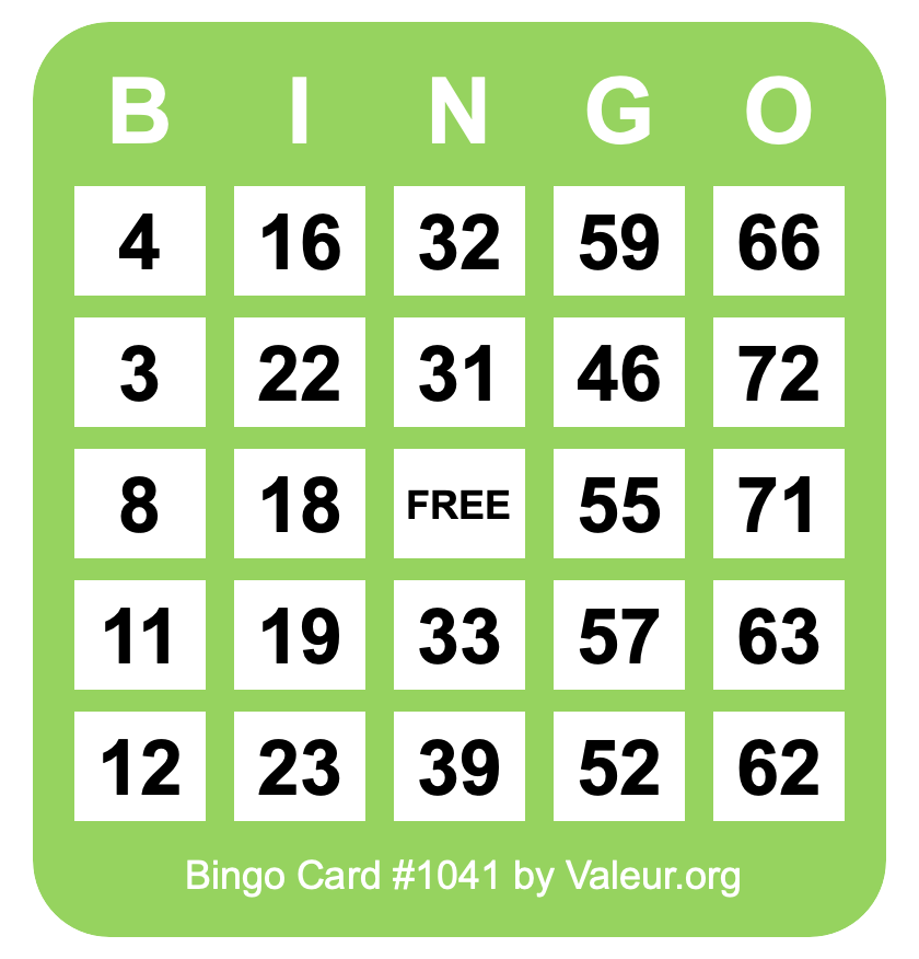 Bingo Card #1041