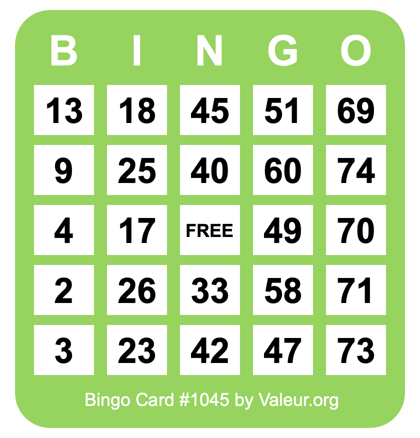 Bingo Card #1045