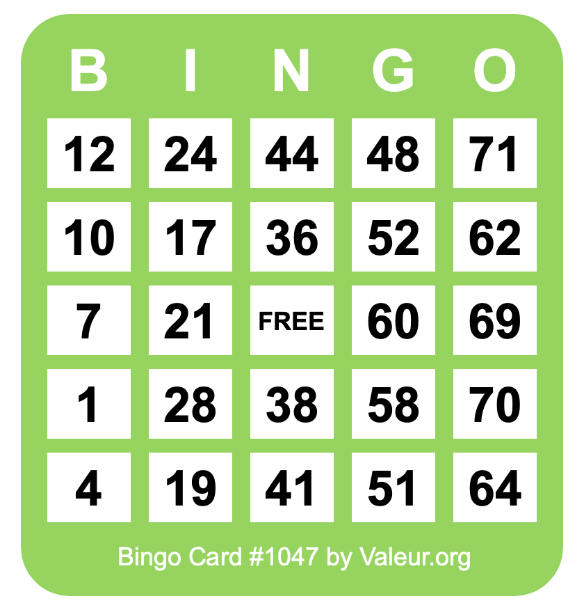 Bingo Card #1047