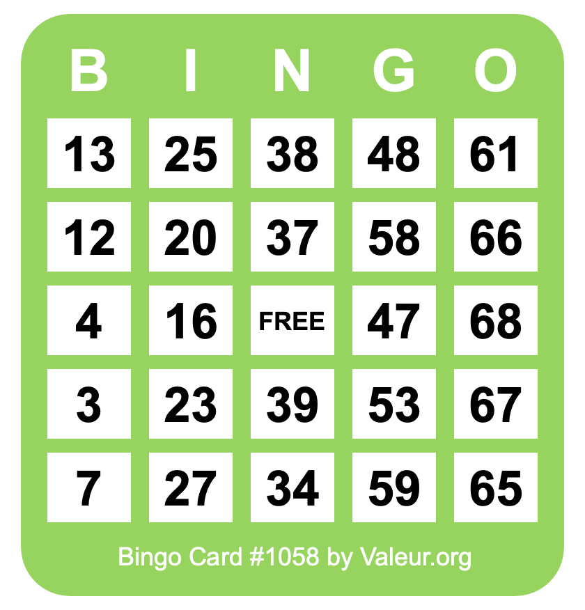 Bingo Card #1058