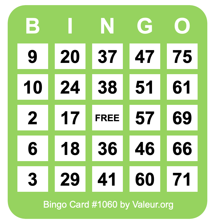 Bingo Card #1060