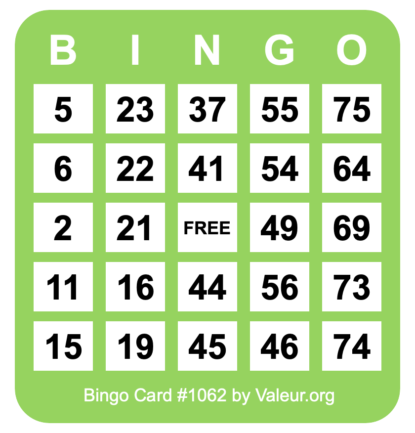 Bingo Card #1062