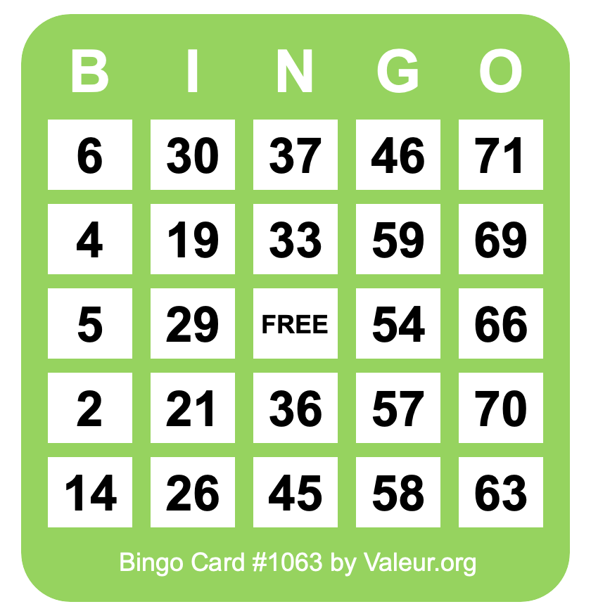 Bingo Card #1063