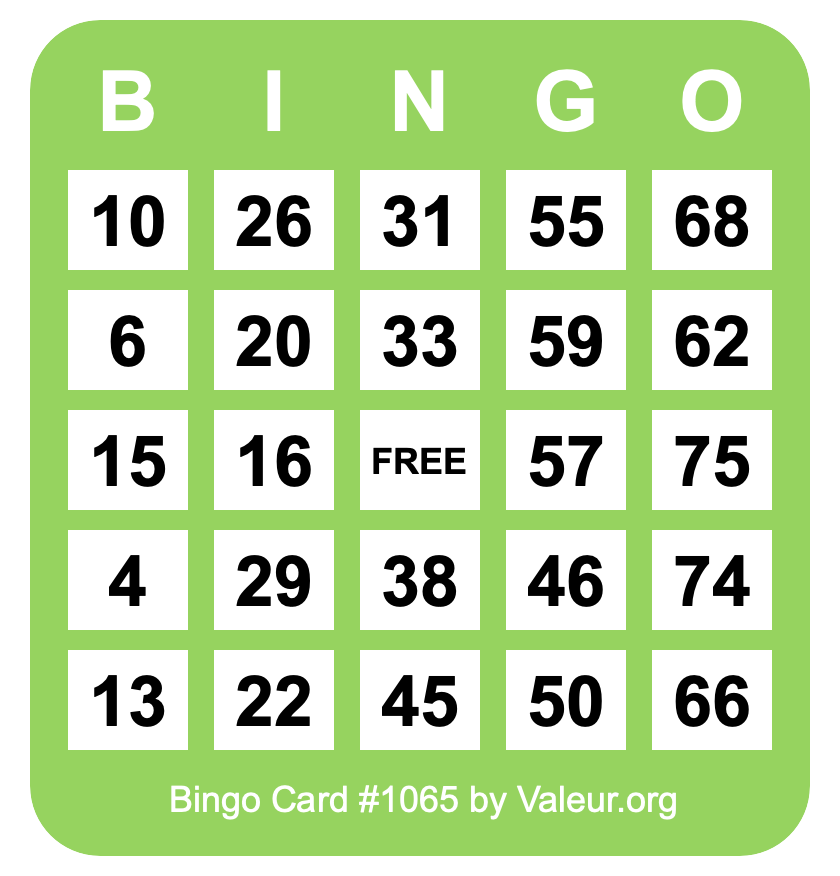 Bingo Card #1065