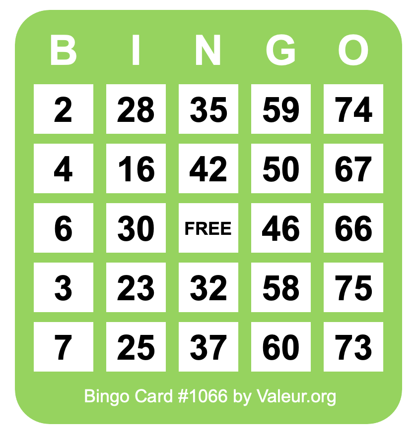 Bingo Card #1066