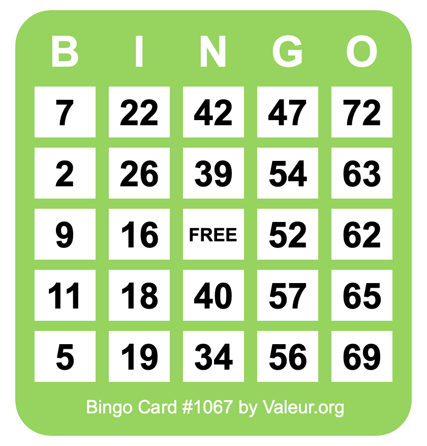 Bingo Card #1067