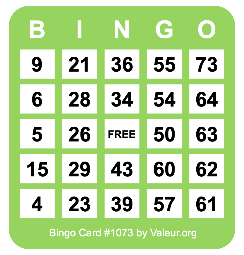 Bingo Card #1073