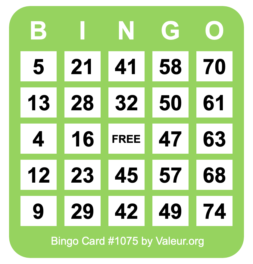 Bingo Card #1075