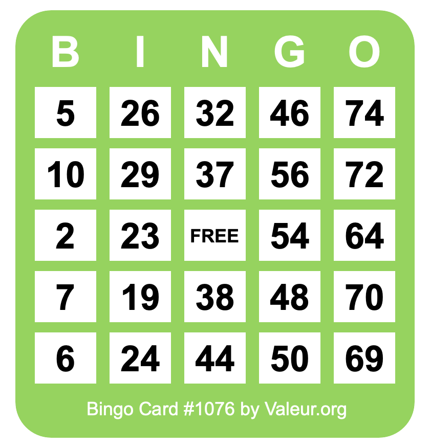 Bingo Card #1076