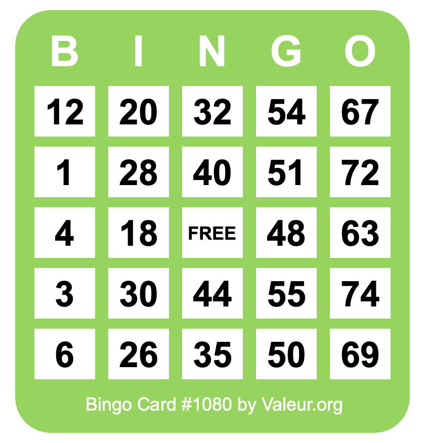 Bingo Card #1080