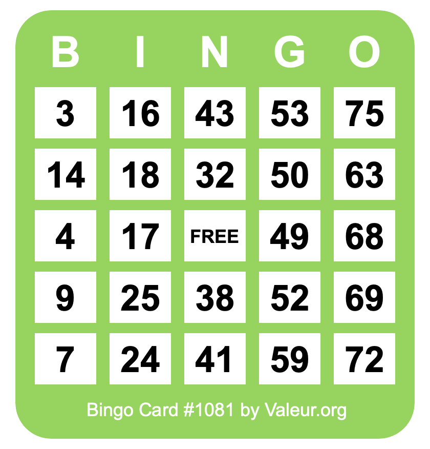 Bingo Card #1081