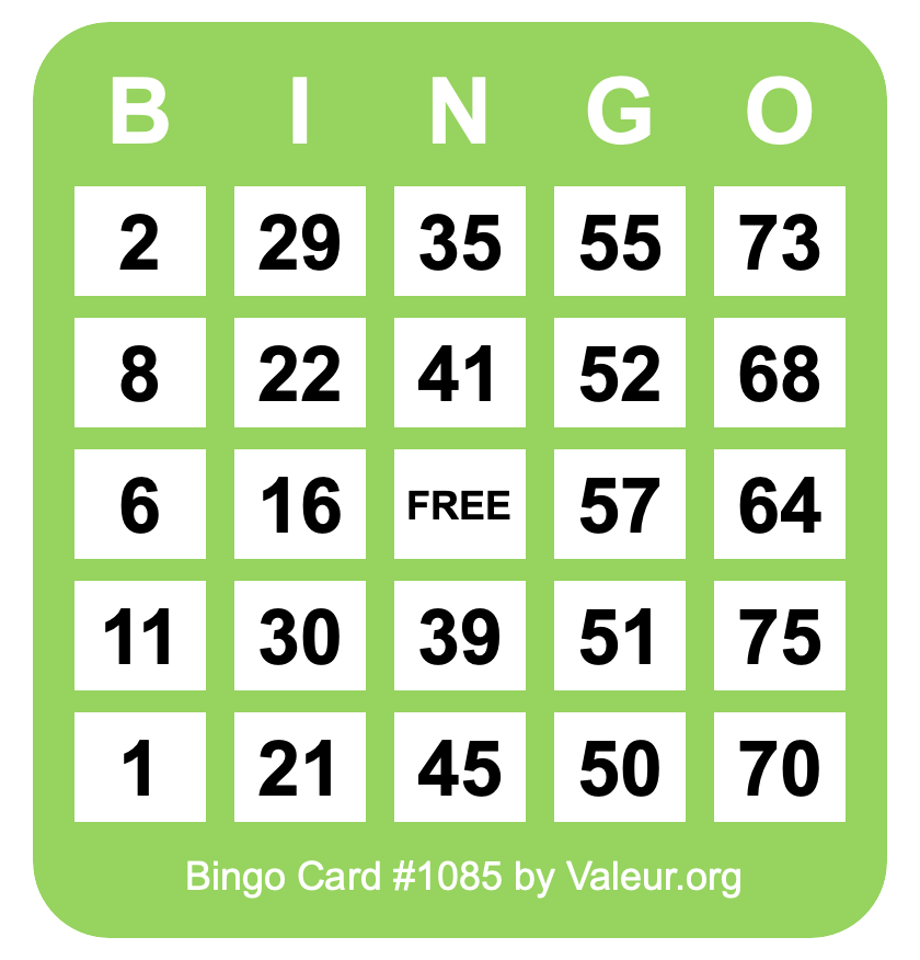 Bingo Card #1085