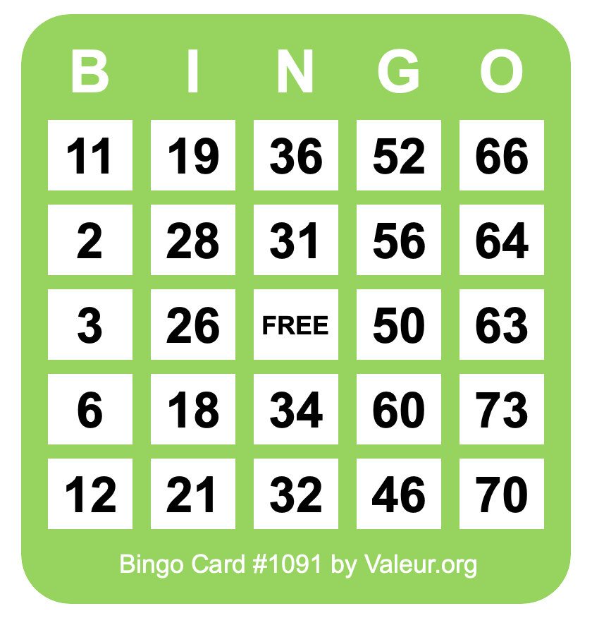 Bingo Card #1091