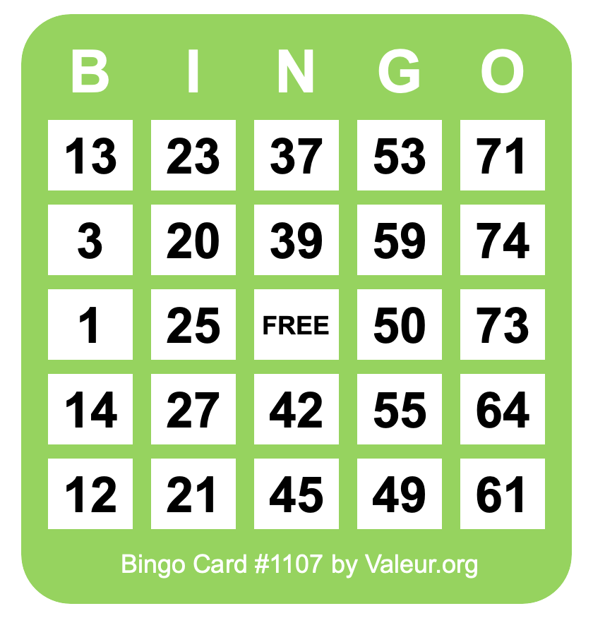 Bingo Card #1107