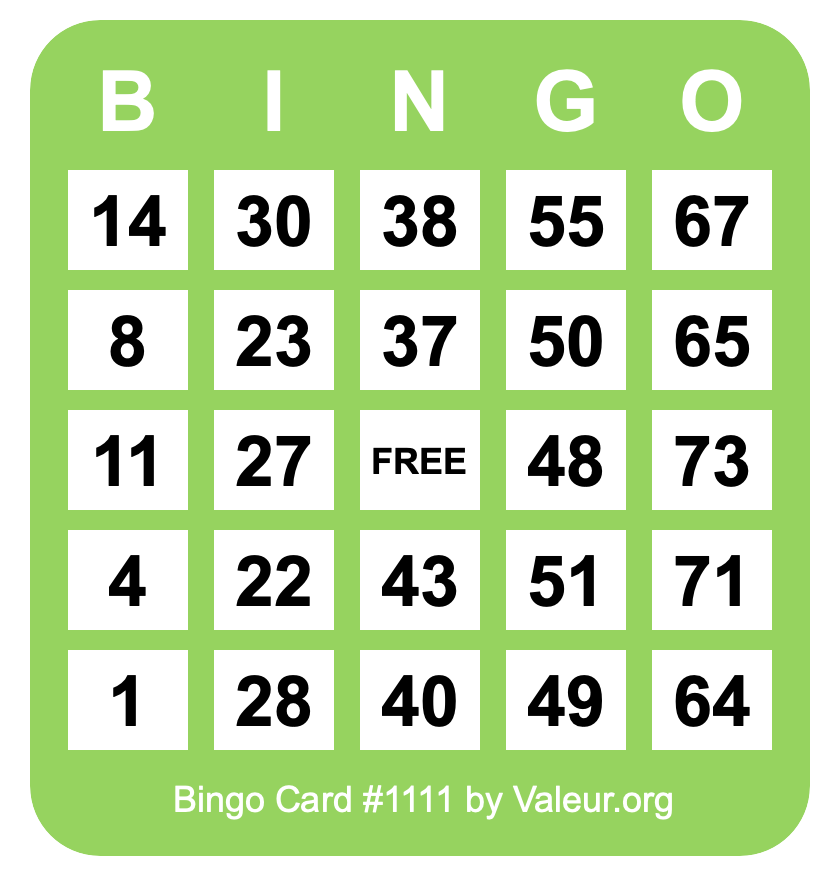 Bingo Card #1111