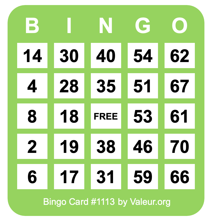 Bingo Card #1113