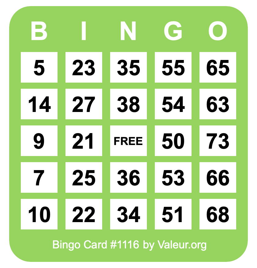 Bingo Card #1116