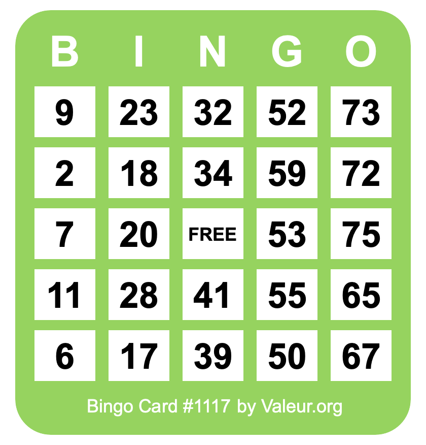 Bingo Card #1117