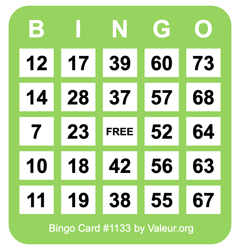 Bingo Card #1133