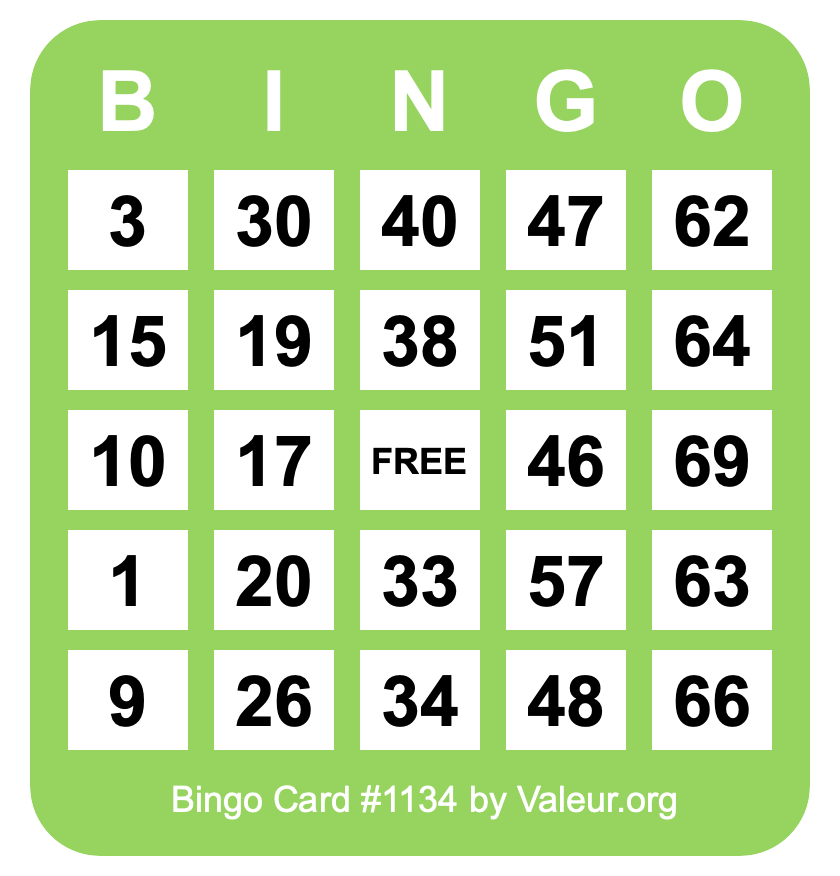 Bingo Card #1134