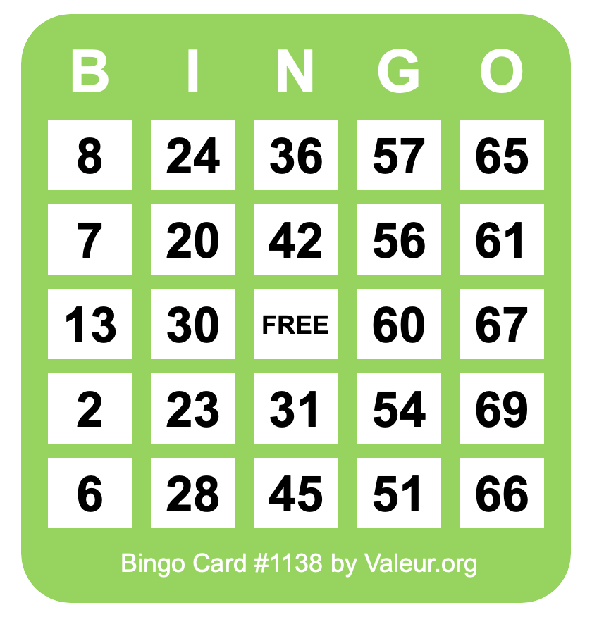 Bingo Card #1138