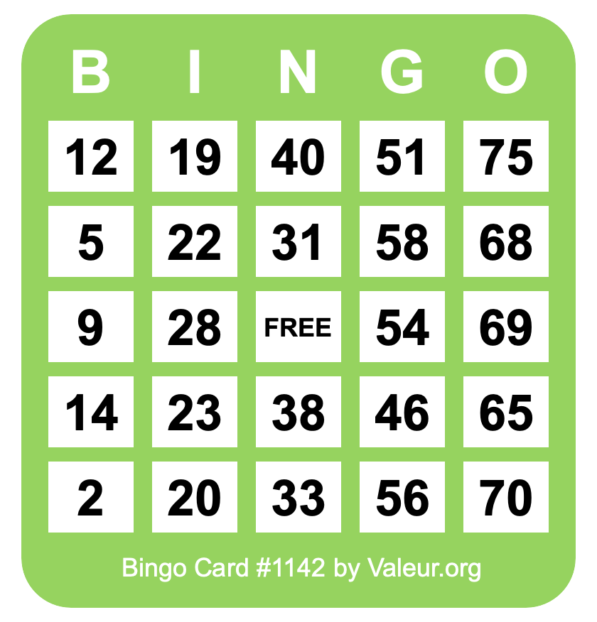 Bingo Card #1142