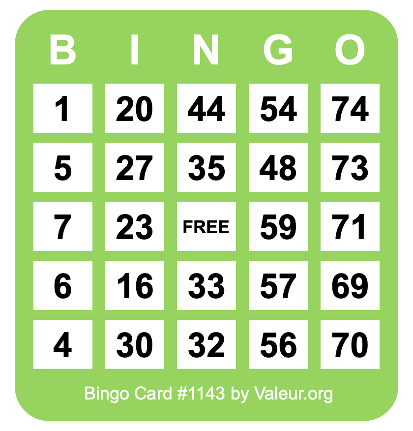 Bingo Card #1143