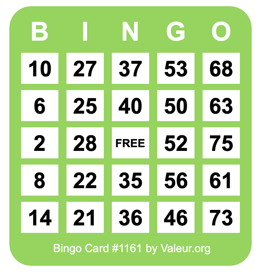 Bingo Card #1161