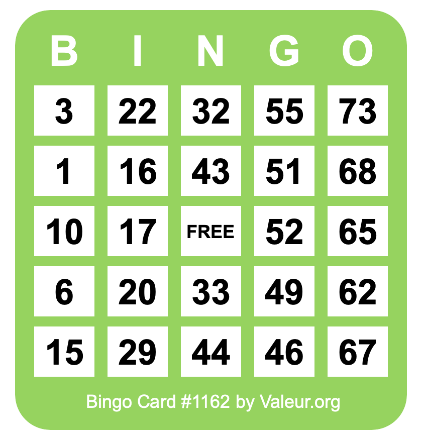 Bingo Card #1162