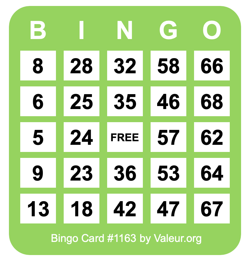 Bingo Card #1163