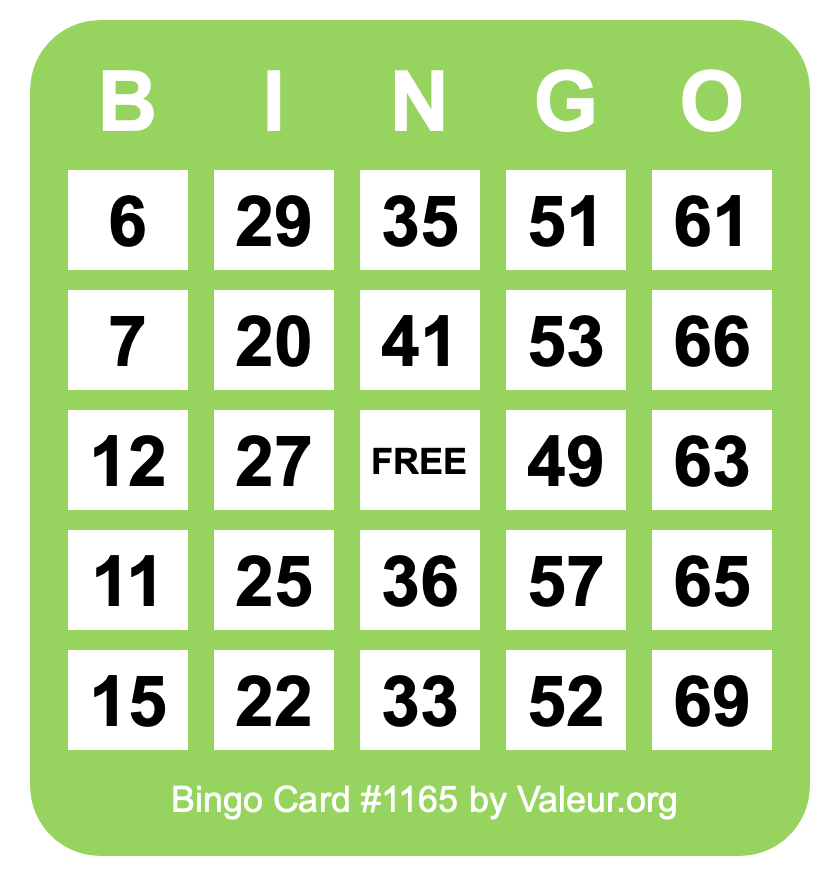 Bingo Card #1165