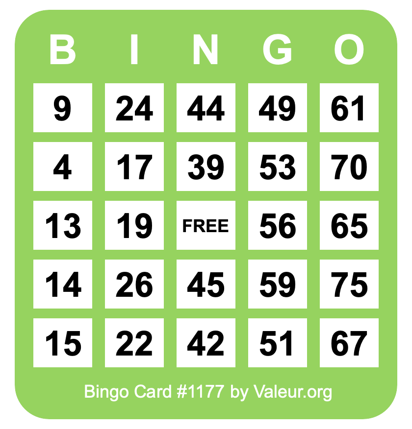 Bingo Card #1177