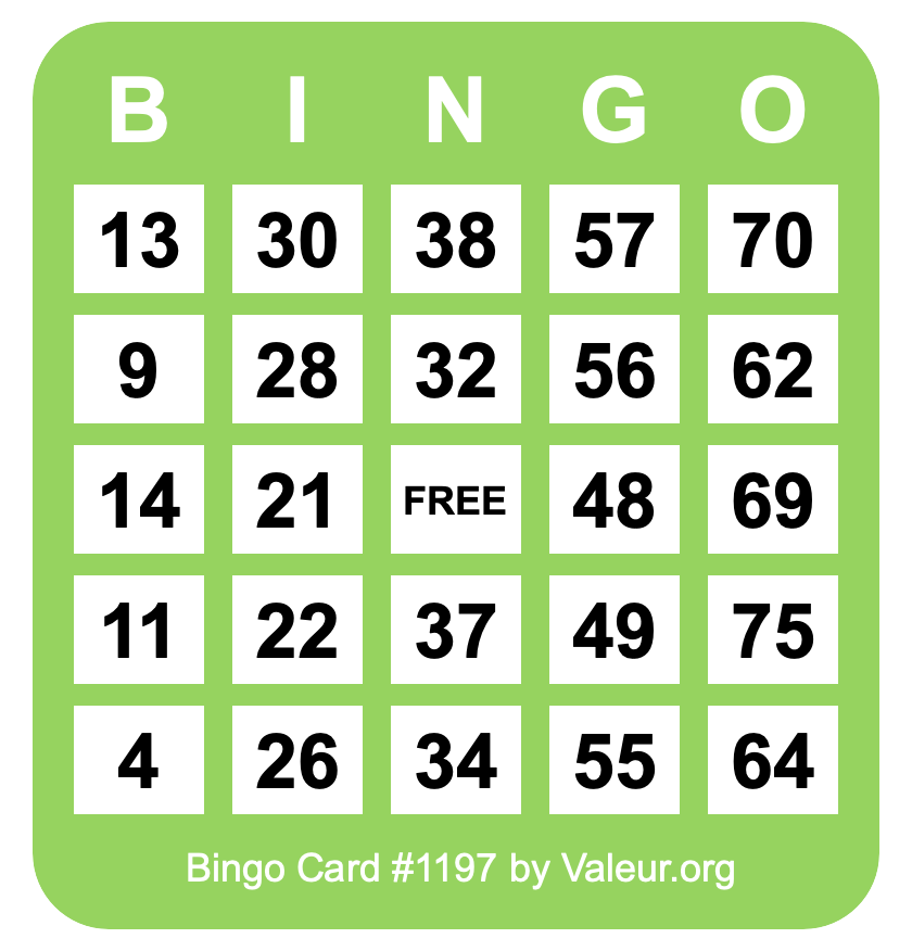 Bingo Card #1197