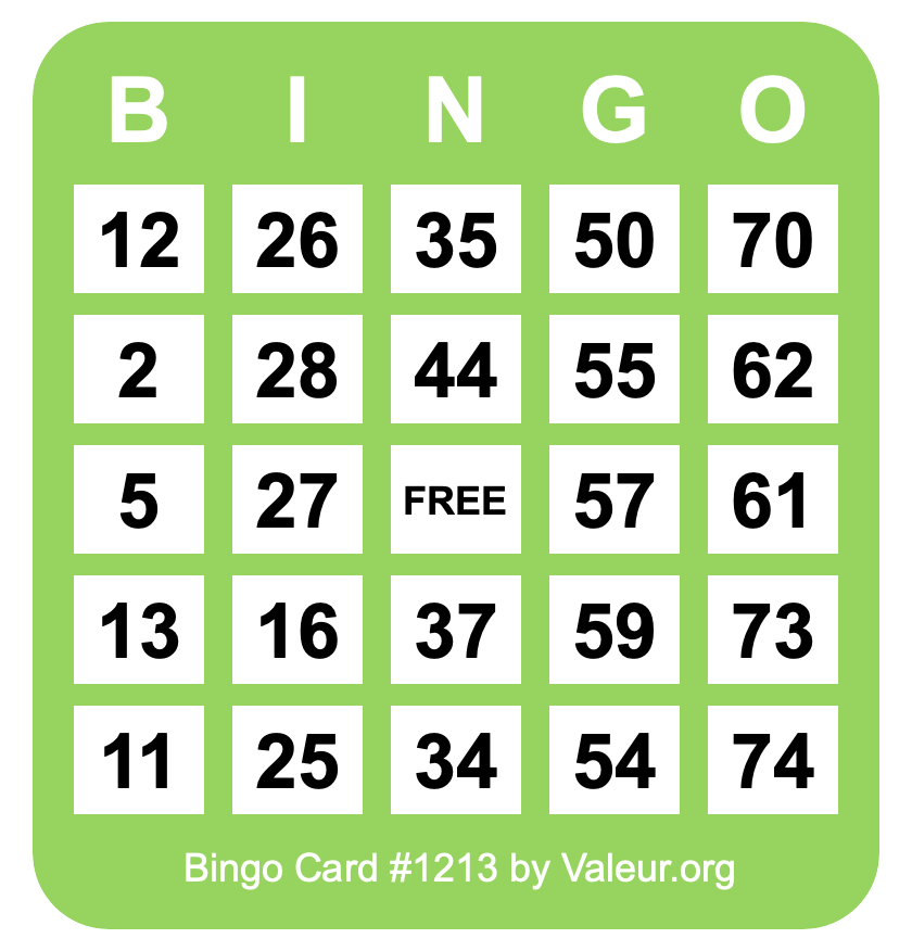 Bingo Card #1213