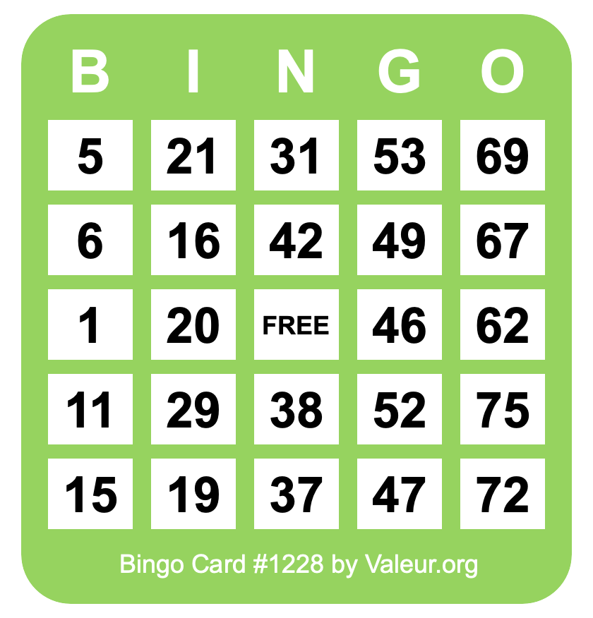 Bingo Card #1228
