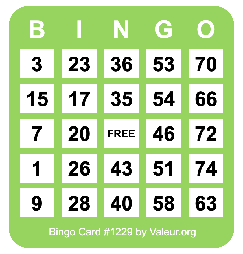 Bingo Card #1229