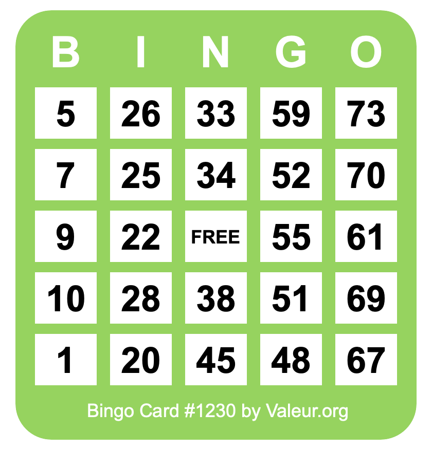 Bingo Card #1230