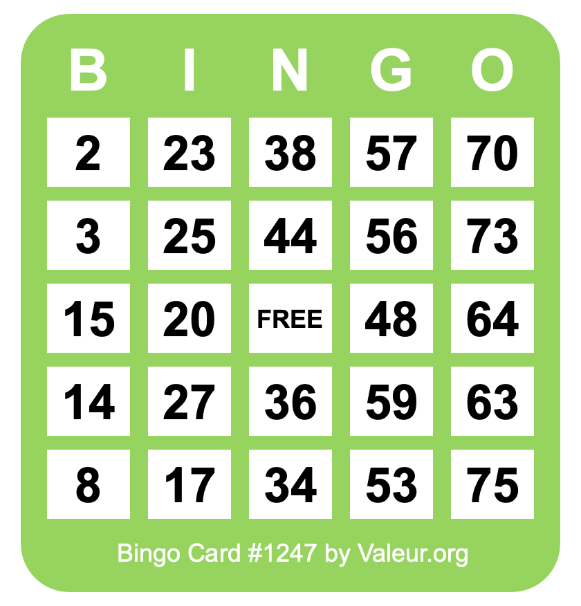 Bingo Card #1247 Bingo Card #1247