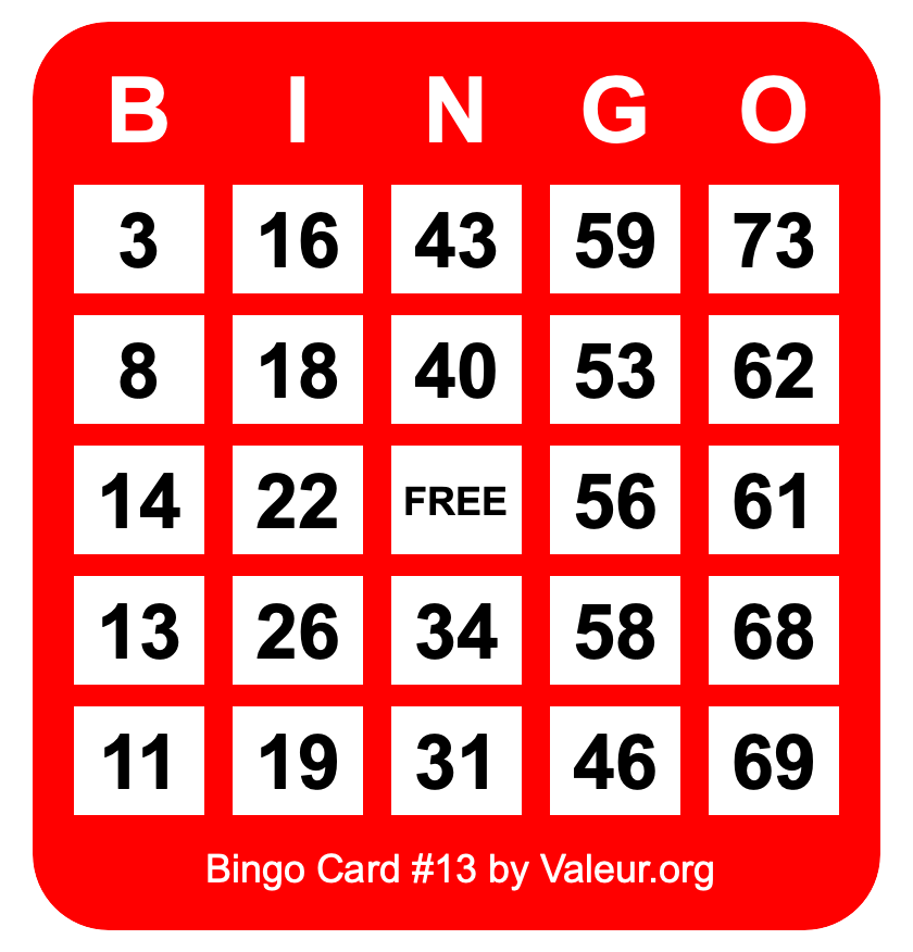 Bingo Card #13